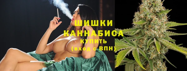 гидра Касимов