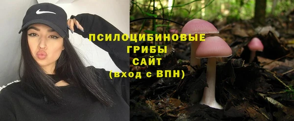 дмт Кинешма