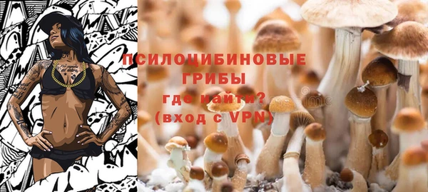 дмт Кинешма