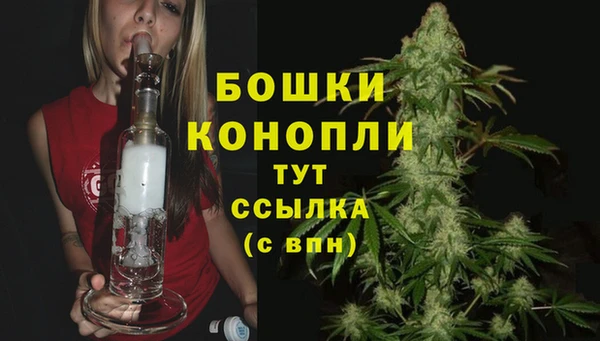 дмт Кинешма