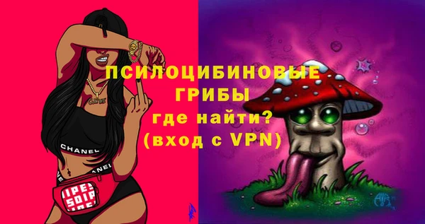 гидра Касимов
